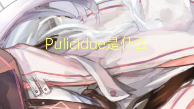 Pulicidae是什么意思 Pulicidae的读音、翻译、用法