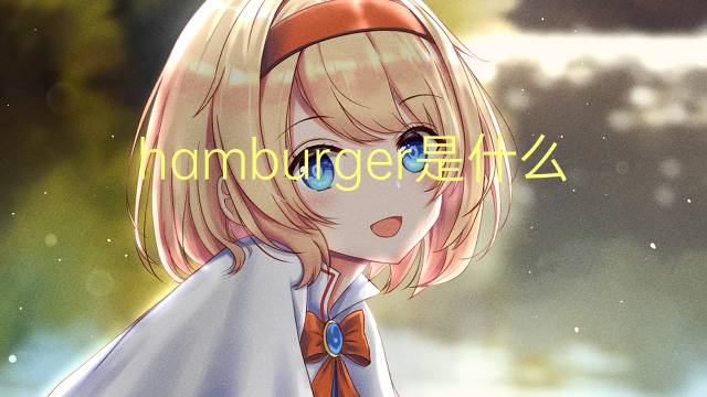 hamburger是什么意思 hamburger的读音、翻译、用法