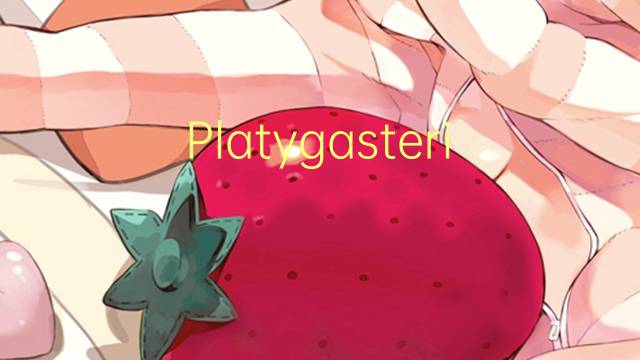 Platygasteridae是什么意思 Platygasteridae的读音、翻译、用法