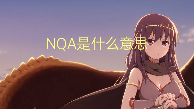 NQA是什么意思 NQA的读音、翻译、用法