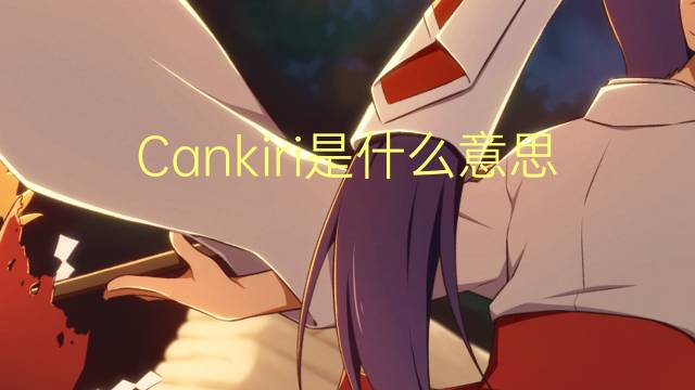 Cankiri是什么意思 Cankiri的读音、翻译、用法