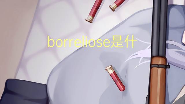 borreliose是什么意思 borreliose的读音、翻译、用法