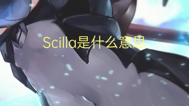 Scilla是什么意思 Scilla的读音、翻译、用法