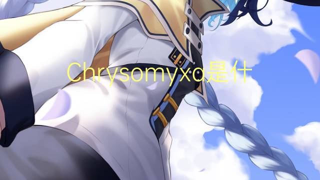 Chrysomyxa是什么意思 Chrysomyxa的读音、翻译、用法