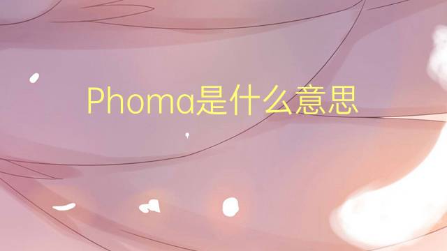 Phoma是什么意思 Phoma的读音、翻译、用法