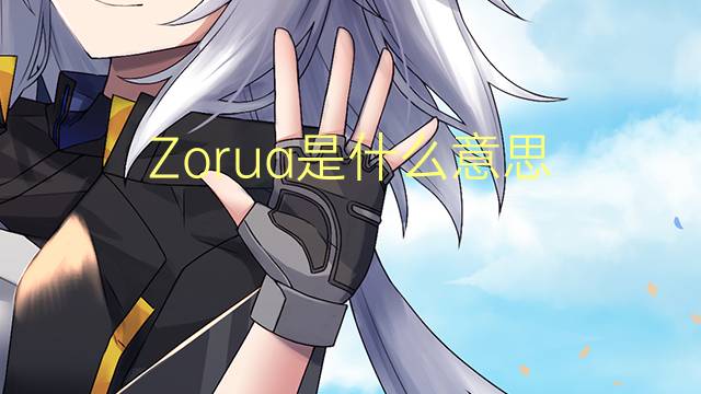 Zorua是什么意思 Zorua的读音、翻译、用法