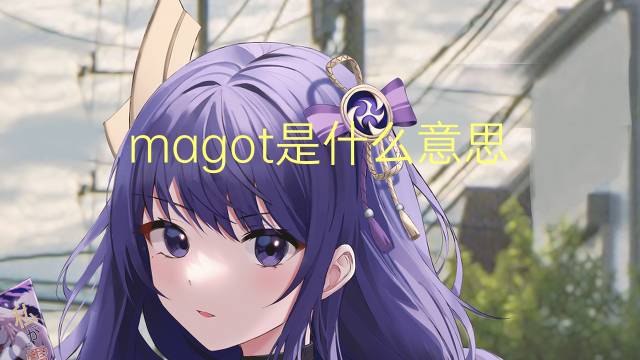 magot是什么意思 magot的读音、翻译、用法