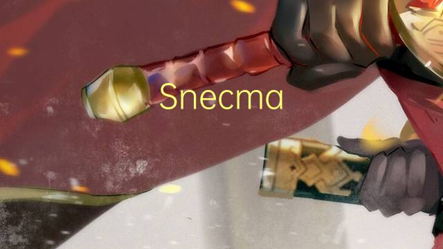 Snecma M53是什么意思 Snecma M53的读音、翻译、用法