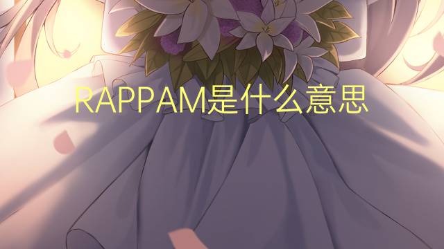 RAPPAM是什么意思 RAPPAM的读音、翻译、用法