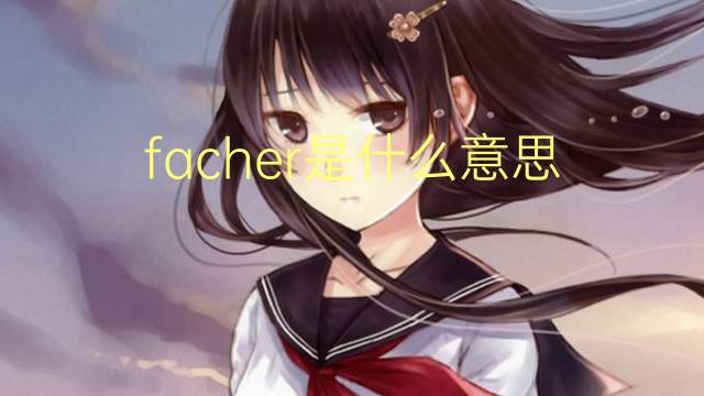 facher是什么意思 facher的读音、翻译、用法