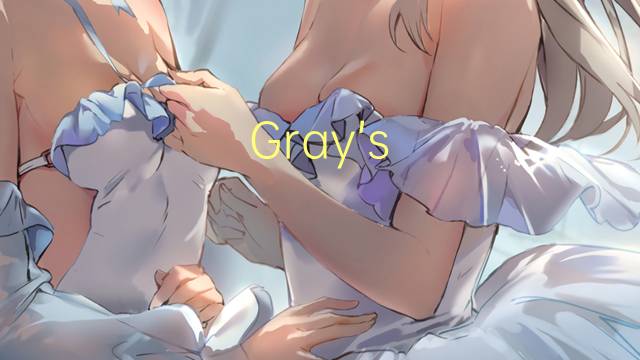 Gray’s Anatomy是什么意思 Gray’s Anatomy的读音、翻译、用法