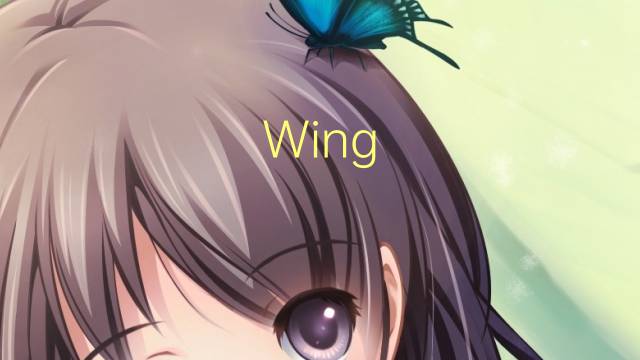 Wing Tsun是什么意思 Wing Tsun的读音、翻译、用法