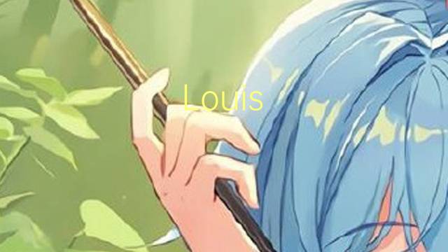 Louis Vuitton是什么意思 Louis Vuitton的读音、翻译、用法