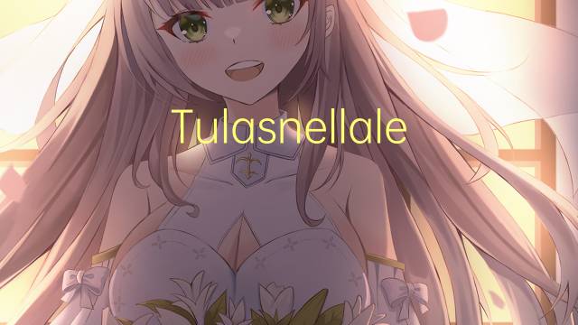 Tulasnellales是什么意思 Tulasnellales的读音、翻译、用法