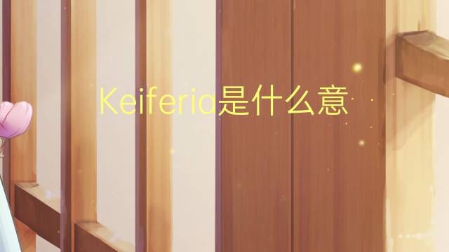 Keiferia是什么意思 Keiferia的读音、翻译、用法