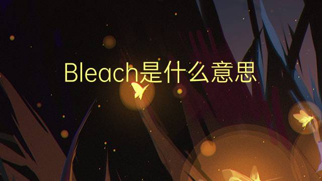 Bleach是什么意思 Bleach的读音、翻译、用法