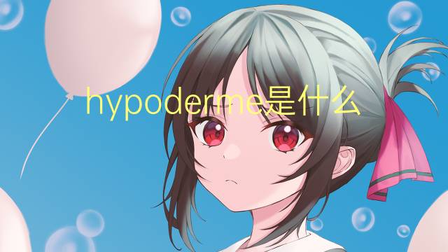 hypoderme是什么意思 hypoderme的读音、翻译、用法