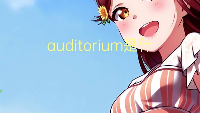 auditorium是什么意思 auditorium的读音、翻译、用法