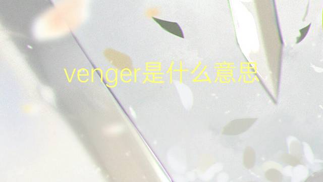 venger是什么意思 venger的读音、翻译、用法