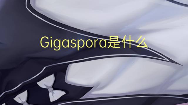 Gigaspora是什么意思 Gigaspora的读音、翻译、用法