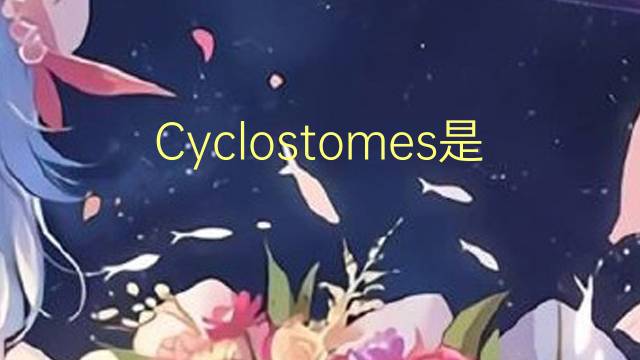 Cyclostomes是什么意思 Cyclostomes的读音、翻译、用法