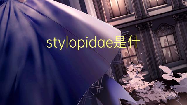 stylopidae是什么意思 stylopidae的读音、翻译、用法