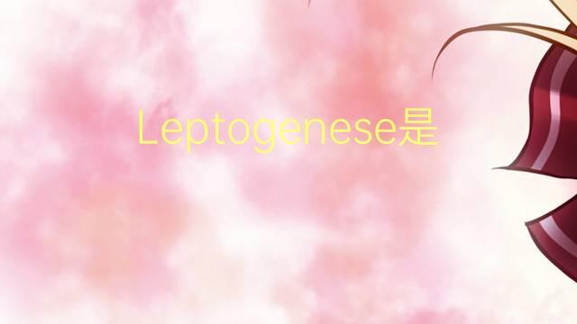 Leptogenese是什么意思 Leptogenese的读音、翻译、用法