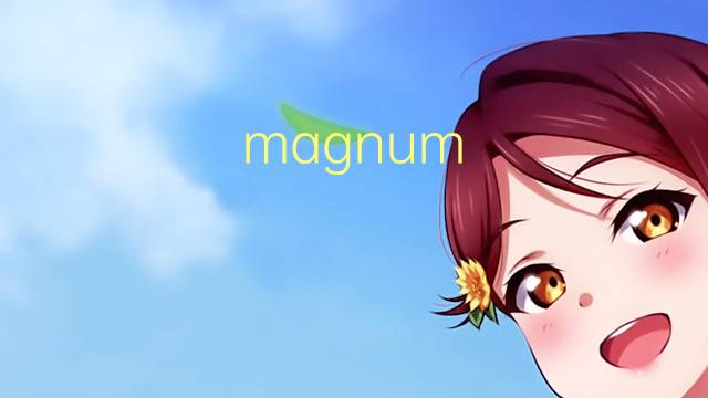 magnum opus是什么意思 magnum opus的读音、翻译、用法