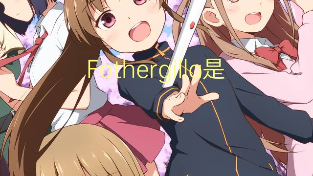 Fothergilla是什么意思 Fothergilla的读音、翻译、用法