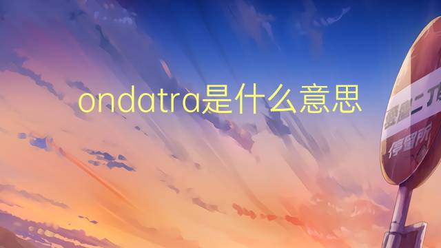 ondatra是什么意思 ondatra的读音、翻译、用法