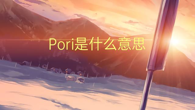 Pori是什么意思 Pori的读音、翻译、用法