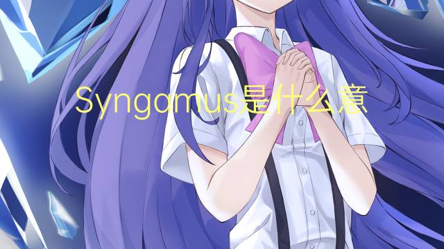 Syngamus是什么意思 Syngamus的读音、翻译、用法