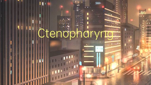 Ctenopharyngodon idella是什么意思 Ctenopharyngodon idella的读音、翻译、用法