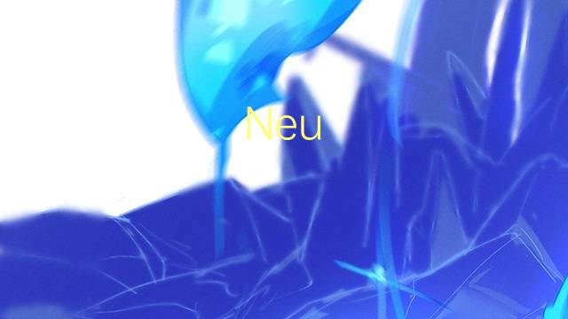 Neu-Ulm是什么意思 Neu-Ulm的读音、翻译、用法