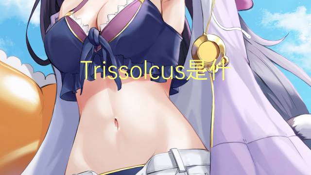 Trissolcus是什么意思 Trissolcus的读音、翻译、用法