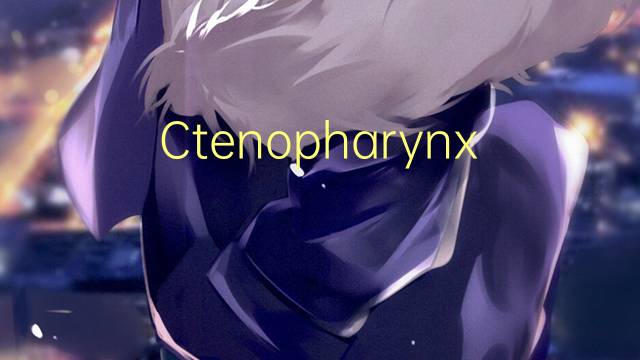 Ctenopharynx intermedius是什么意思 Ctenopharynx intermedius的读音、翻译、用法