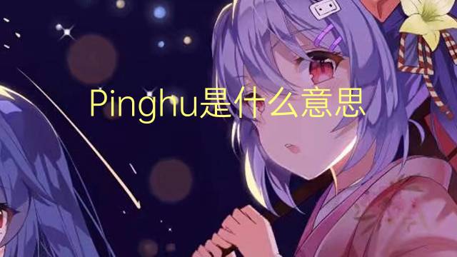 Pinghu是什么意思 Pinghu的读音、翻译、用法