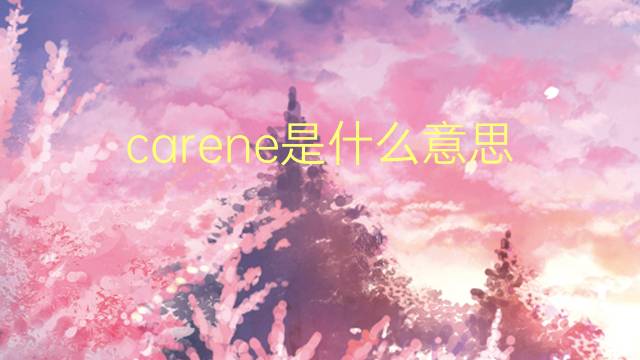 carene是什么意思 carene的读音、翻译、用法