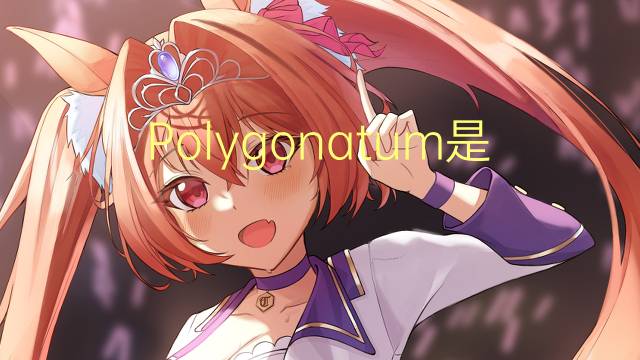 Polygonatum是什么意思 Polygonatum的读音、翻译、用法