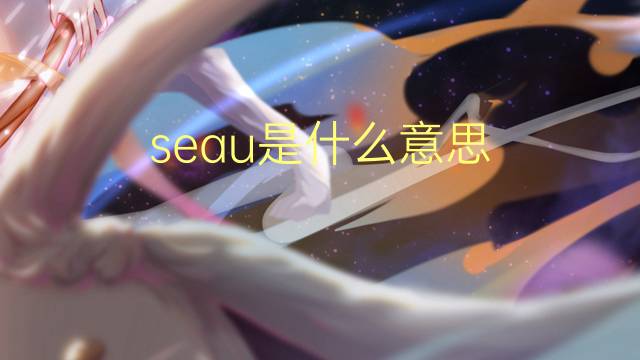 seau是什么意思 seau的读音、翻译、用法