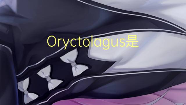 Oryctolagus是什么意思 Oryctolagus的读音、翻译、用法