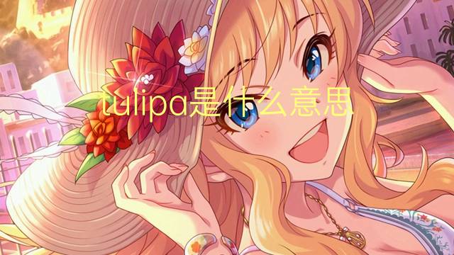 tulipa是什么意思 tulipa的读音、翻译、用法