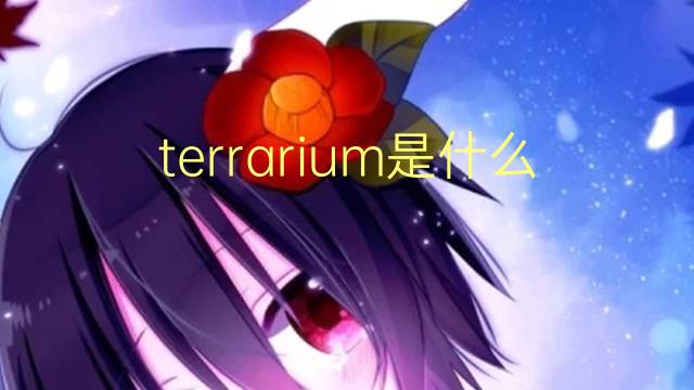 terrarium是什么意思 terrarium的读音、翻译、用法