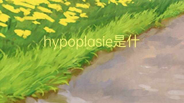 hypoplasie是什么意思 hypoplasie的读音、翻译、用法