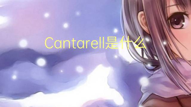 Cantarell是什么意思 Cantarell的读音、翻译、用法