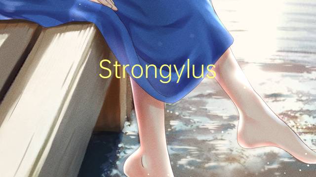 Strongylus vulgaris是什么意思 Strongylus vulgaris的读音、翻译、用法