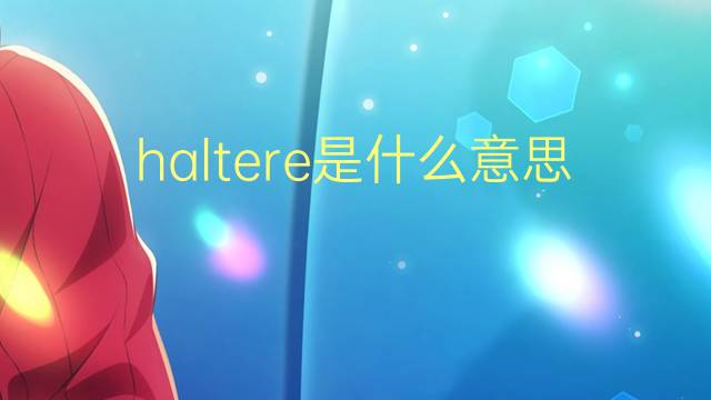 haltere是什么意思 haltere的读音、翻译、用法