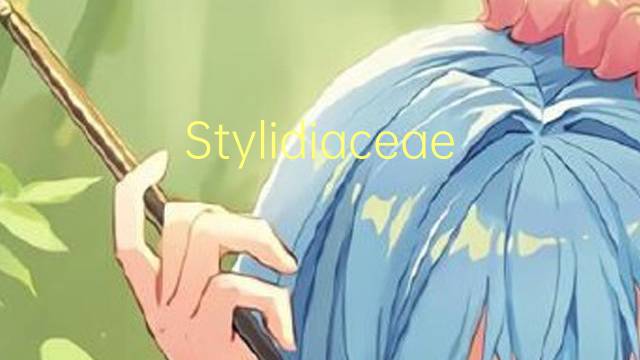 Stylidiaceae是什么意思 Stylidiaceae的读音、翻译、用法