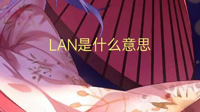 LAN是什么意思 LAN的读音、翻译、用法