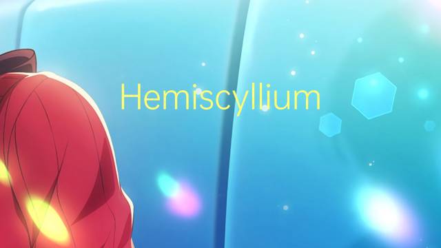 Hemiscyllium ocellatum是什么意思 Hemiscyllium ocellatum的读音、翻译、用法